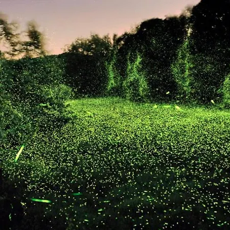 Du Saint-Rémy-sur-Durolle