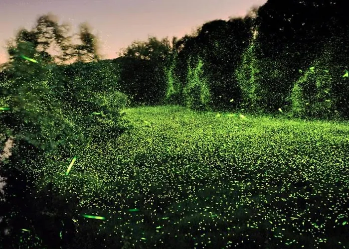 Du Saint-Rémy-sur-Durolle